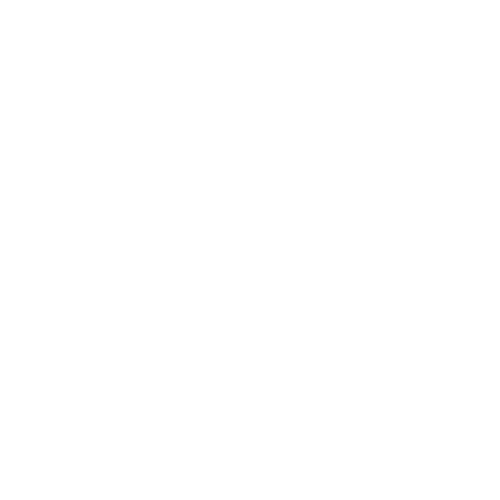 Anthony The Real Estate Guy